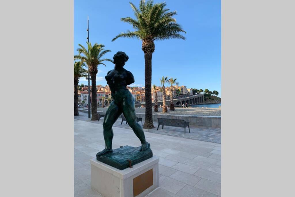 Attique A Banyuls - Vue Mer Et Montagne Eksteriør bilde
