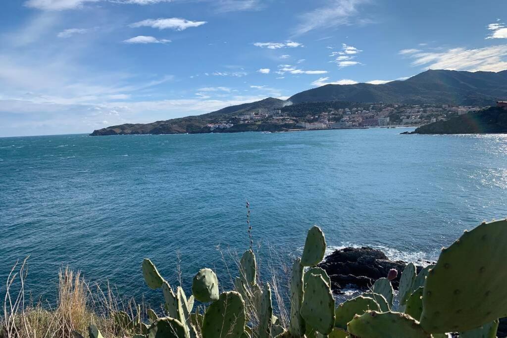 Attique A Banyuls - Vue Mer Et Montagne Eksteriør bilde