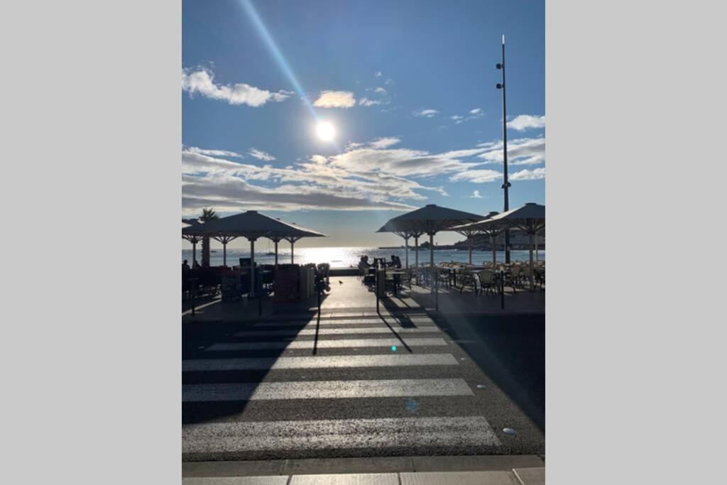 Attique A Banyuls - Vue Mer Et Montagne Eksteriør bilde