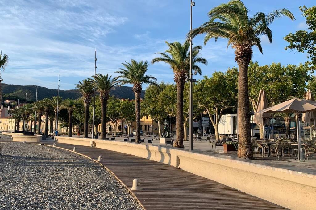 Attique A Banyuls - Vue Mer Et Montagne Eksteriør bilde